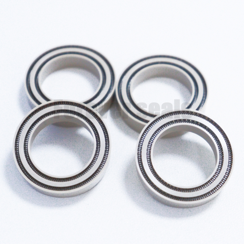 Virgin PTFE Double Spring Energized Seal 2