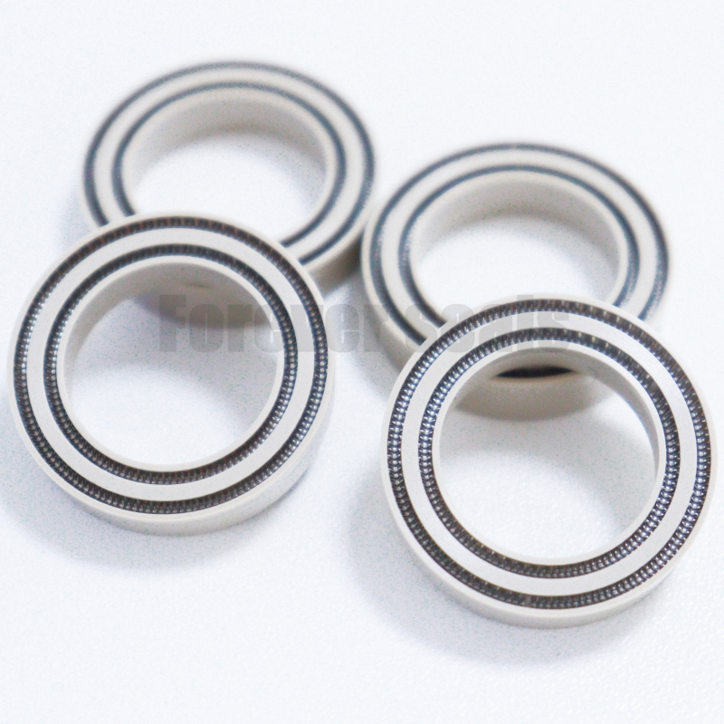 Virgin PTFE Double Spring Energized Seal 3