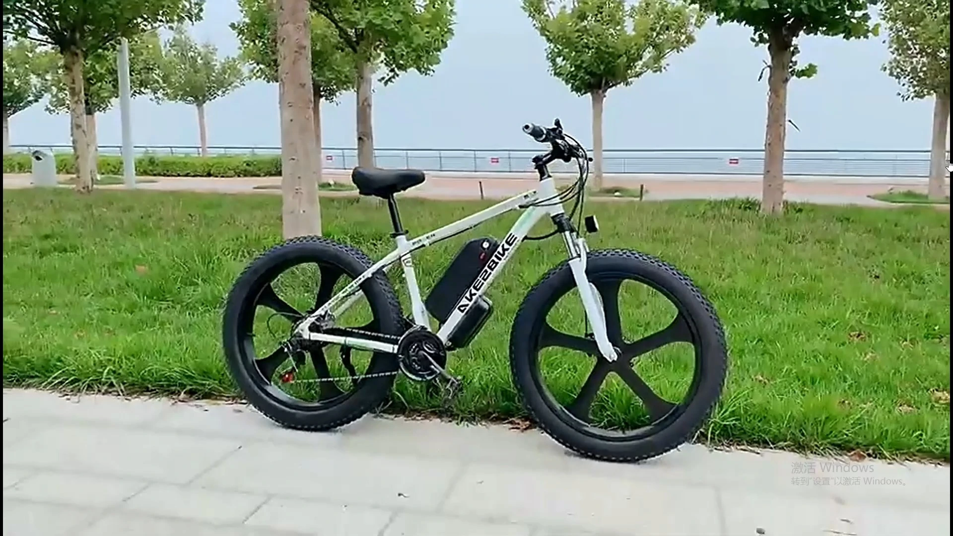 Mountain Moped Electric Bicycle with Integrated 48v 250w Motor 3C National Standard Lithium Tram 1
