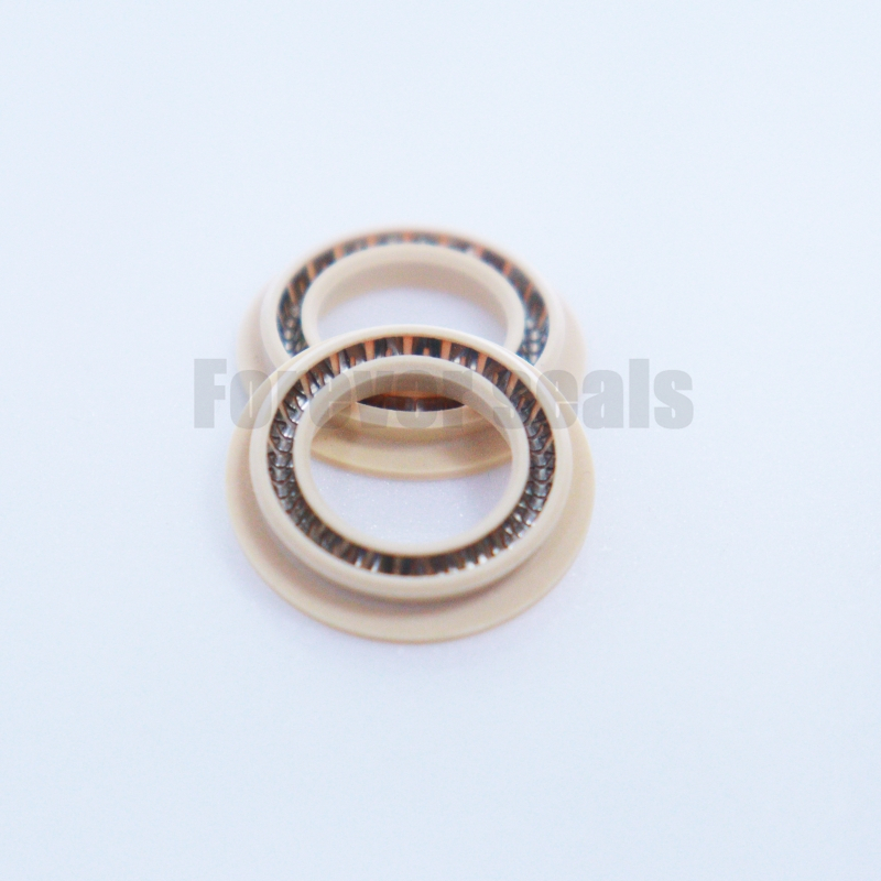 Trelleborg TVM Series Spring Energized Seal - PEEK Material 1