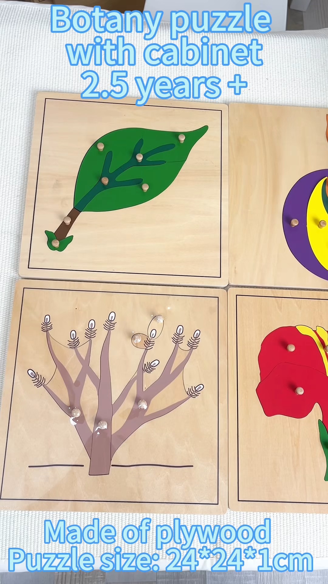 Câu đố thực vật Montessori: Nơi đôi tay nhỏ bé phát triển trí tuệ lớn