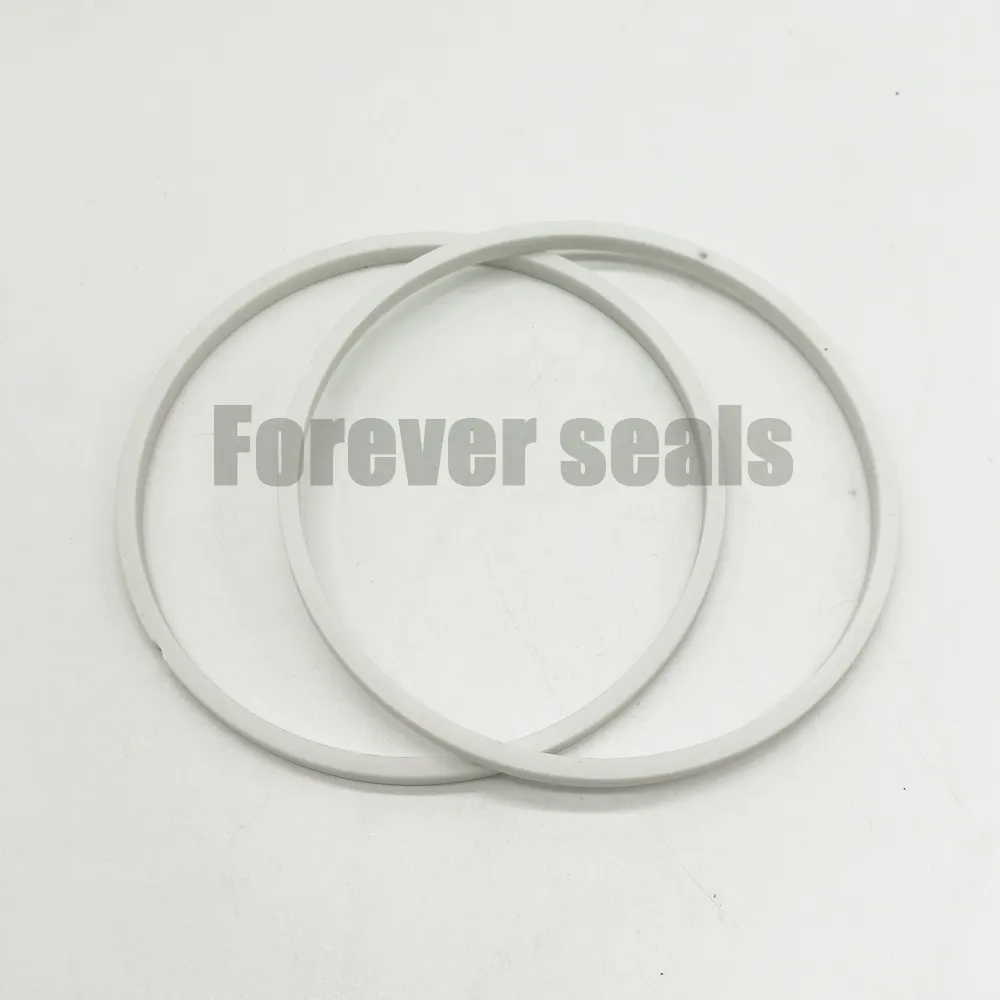 Industrial Seals Manufacturers Products Wholesale - FOREVER SEALS-1 2