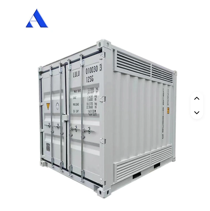 CSC Certified 10ft Ventilated Steel 10 Feet Length Dangerous Chemical Goods Storage Shipping Container 1