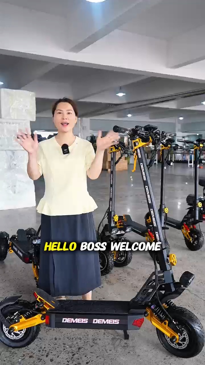 H3 electric scooter 500w 48v 13ah 1