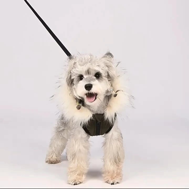 Winter warm down coat for doggies 1