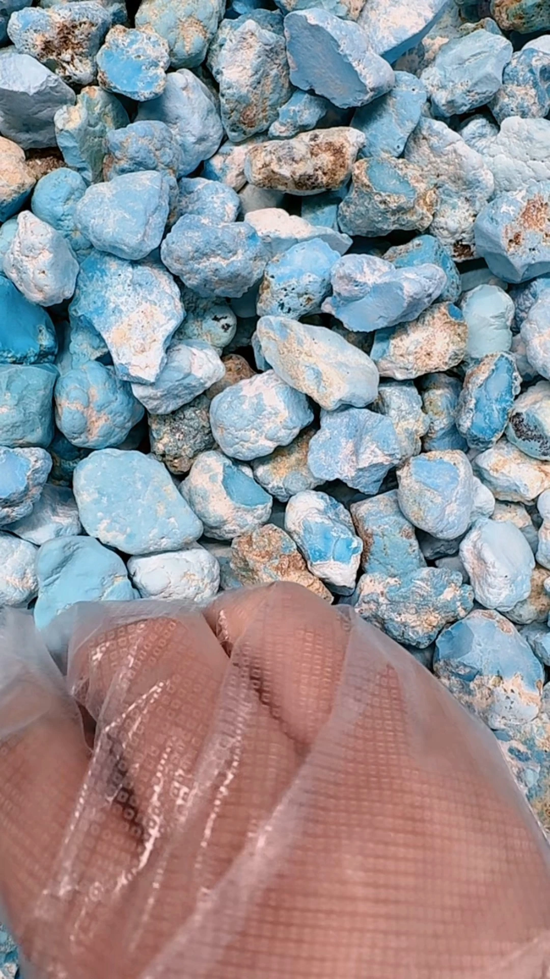 Үй шаруасындағы әйелдердің суреттері