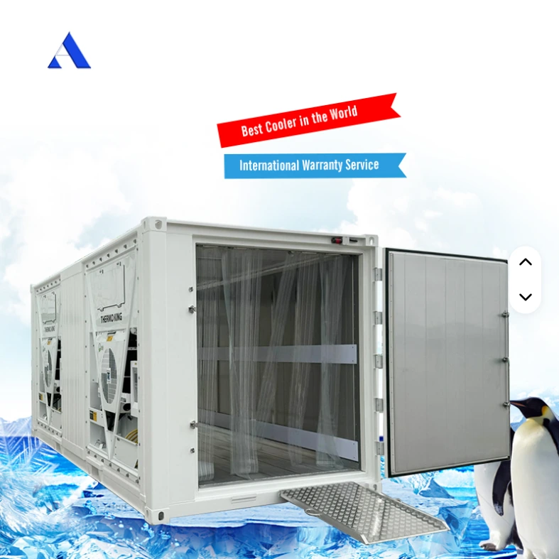 20ft Dual Cooling Units Refrigerated Blast Freezer Reefer Container with PVC Curtain Ramp Escape Exit Door 1
