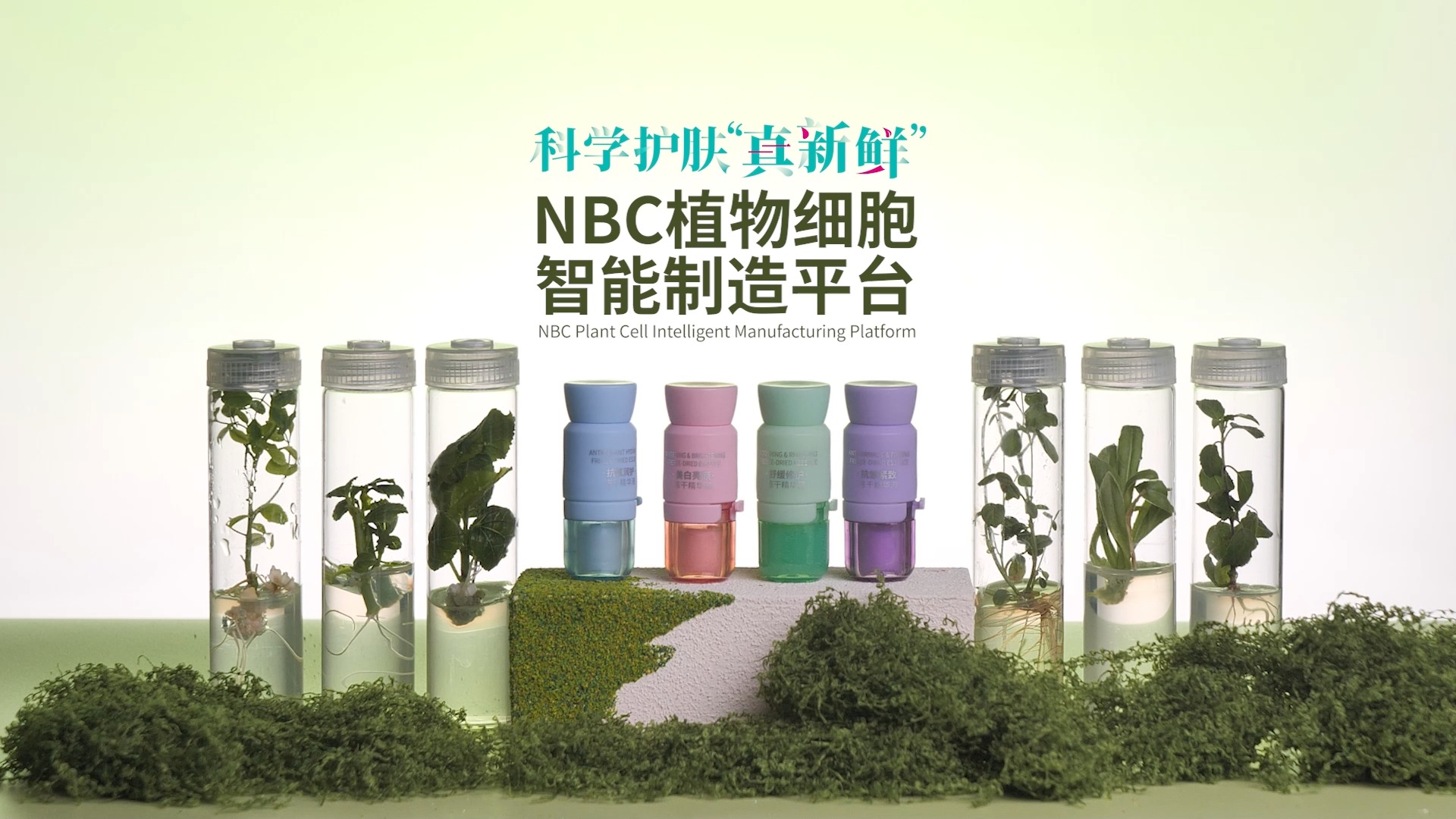 NBC植物细胞智能制造平台