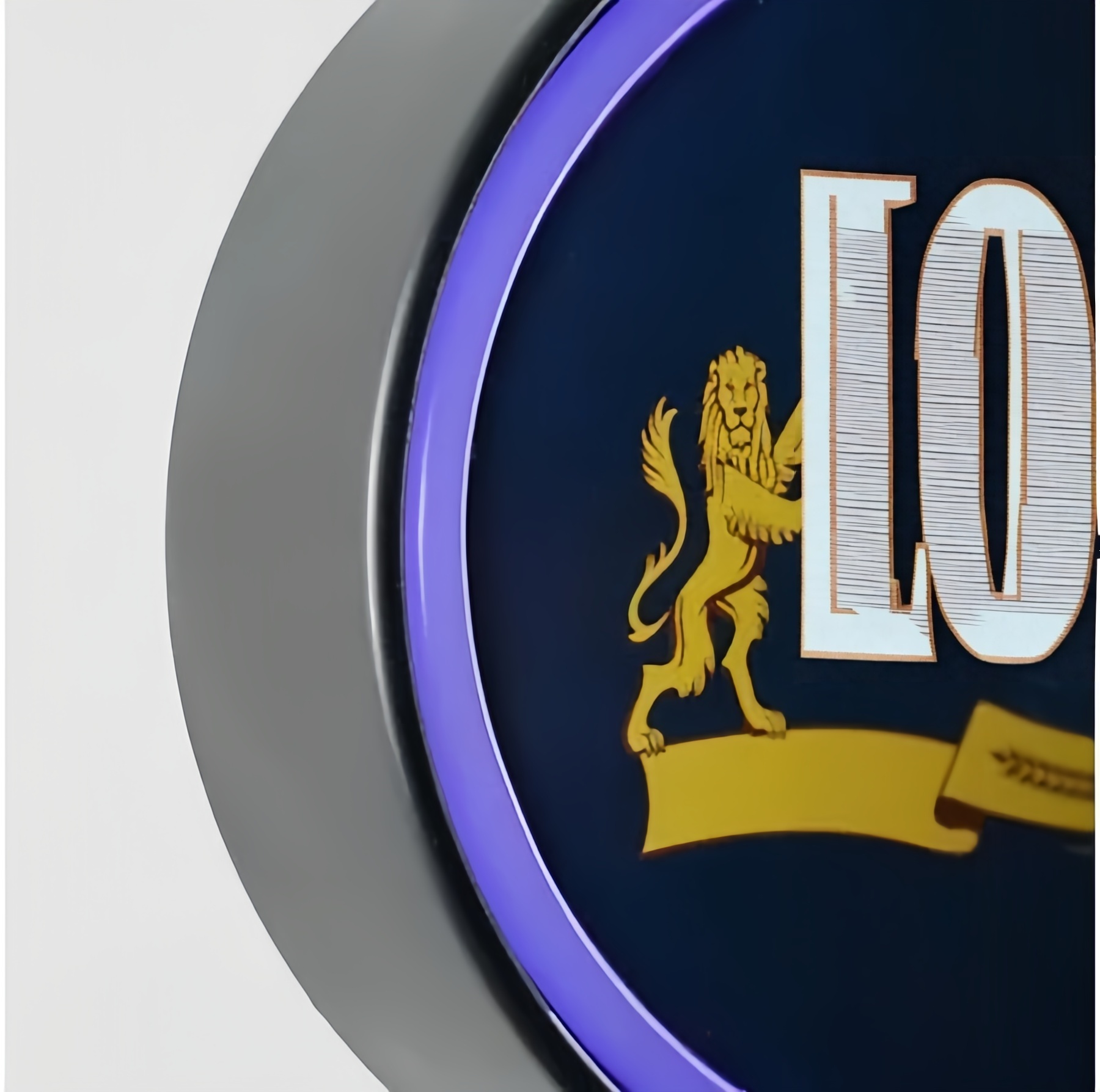 プロフェッショナルカスタマイズの商業用ネオンサインボックスとLED