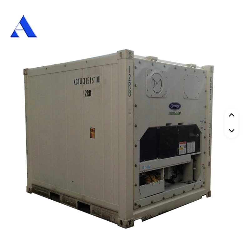 Used 10FT 10 Feet 3 Meter Cold Storage Refrigerated Reefer Container in Good Condition Third Hand Containers 1