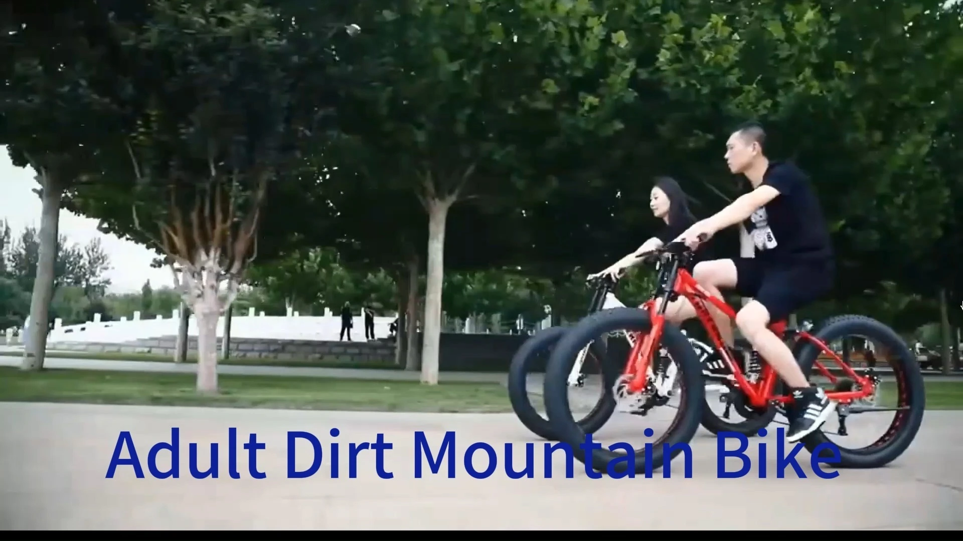 26 Inch Men's Mountain Bike Frame with Carbon Fibre Fork Fat Tire & 27 Speed Model Free Shipping for Adults 1