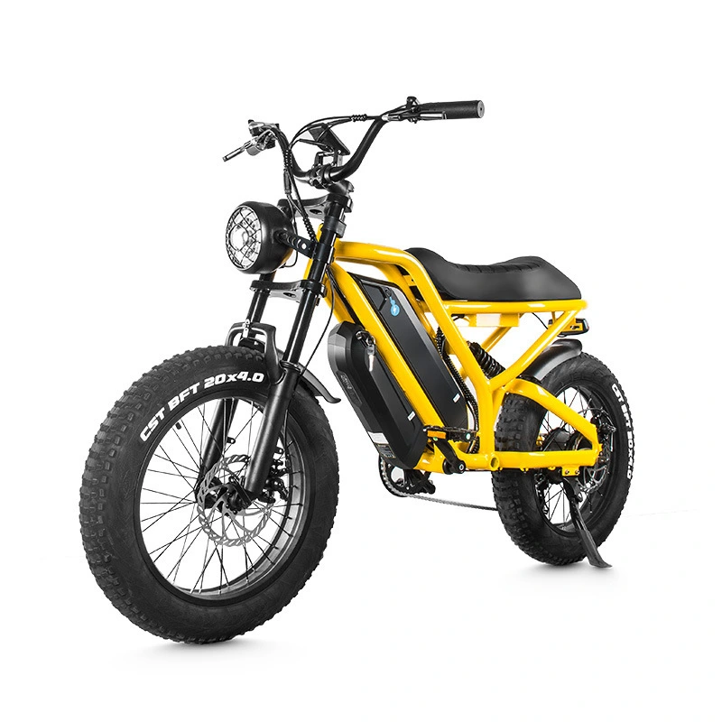 Ebike 1