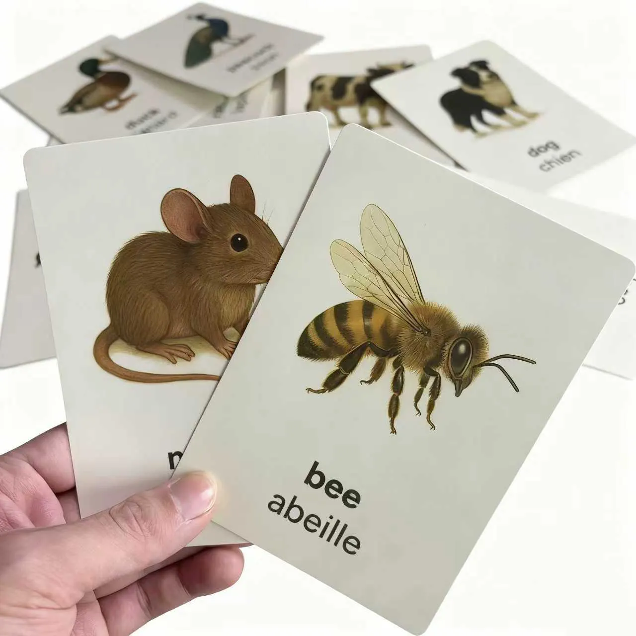 Englisch-Französisch zweisprachige Tier-Lernkarten – Vokabel- und Sprachlernkarten für Kinder 1