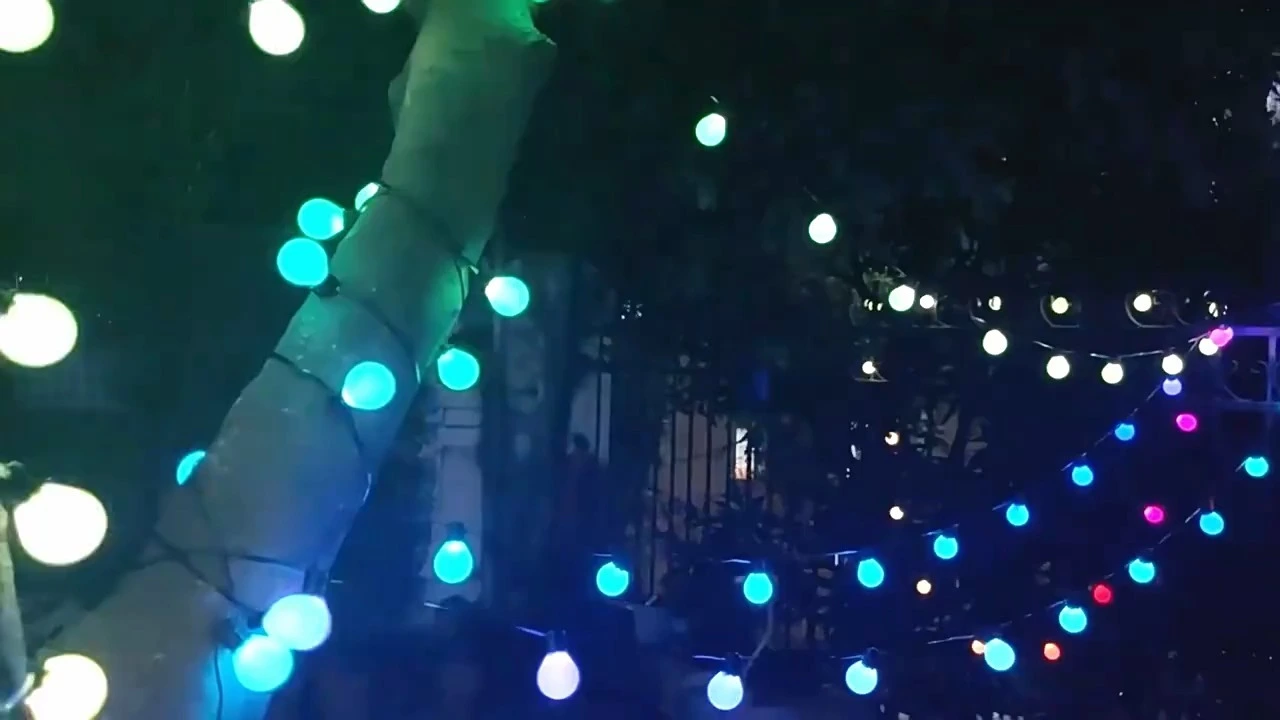 12m 20pcs S14 Smart LED String Lights with USB Plug and Remote Controller 1