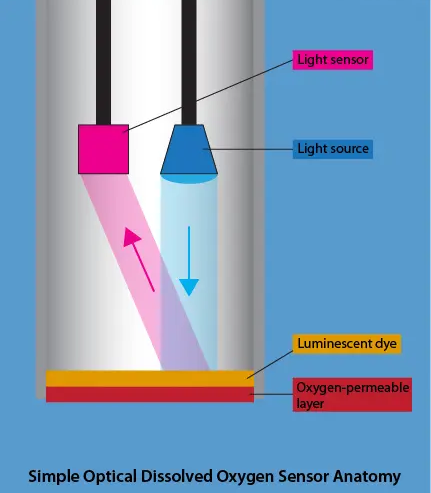  Light-based oxygen measurement process 