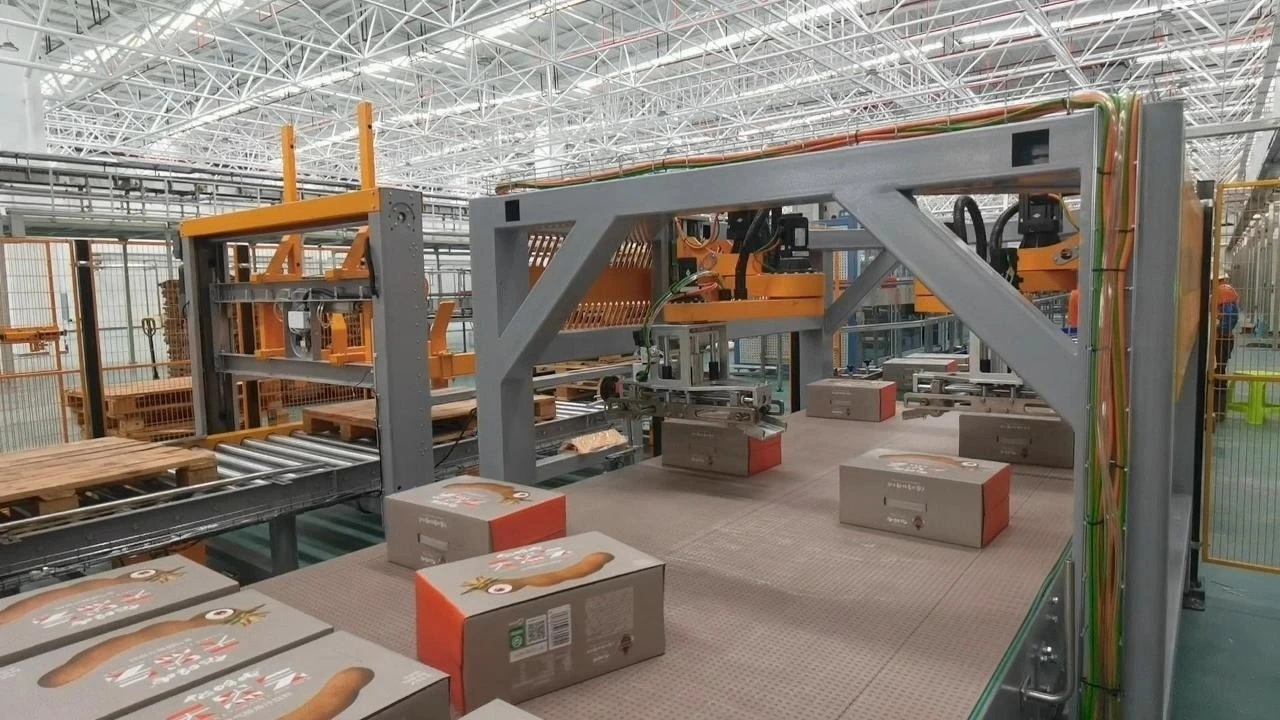 آلة رصّ الكرتون على منصات نقالة منخفضة المستوى 1