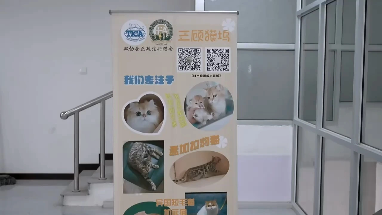 High Quality Roll Up Stand Aluminum Frame Professional Marketing Tool for Business Promotion 1