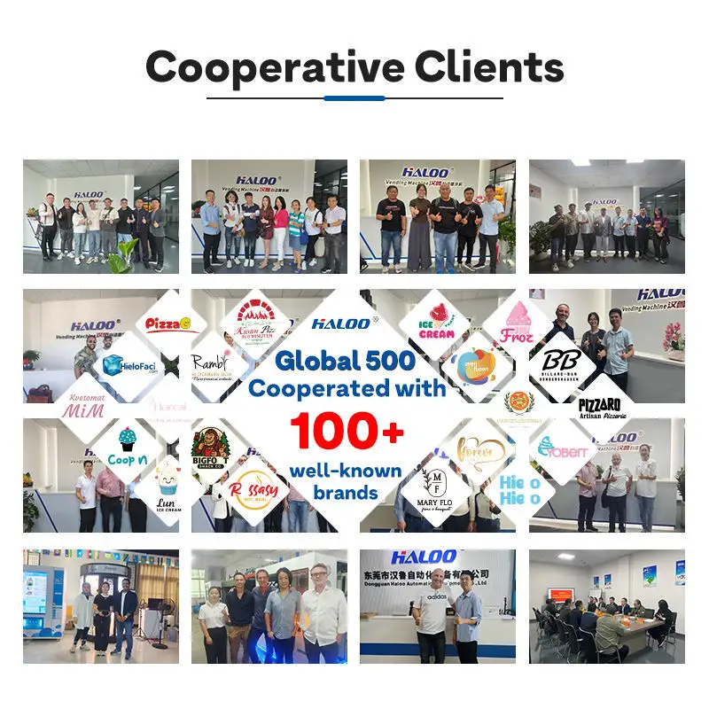 Flower Bouquet Vending Machine VENDING MACHINE Wholesale - Haloo 7