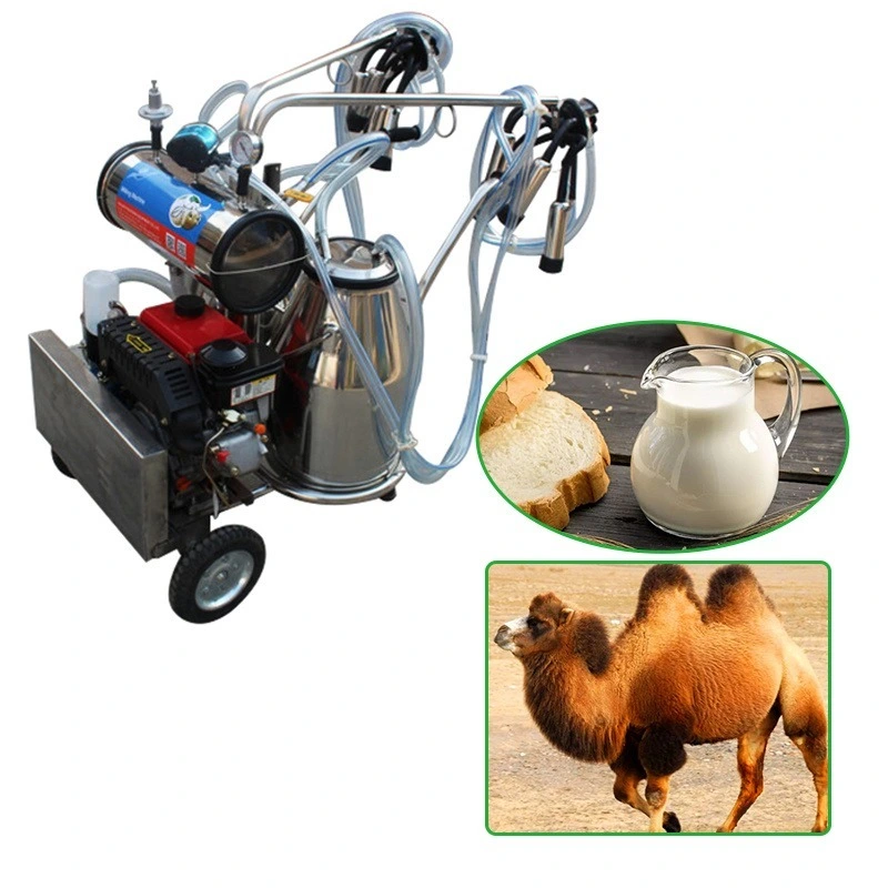 Gasoline Cattle Milking Machine for Remote Areas 1