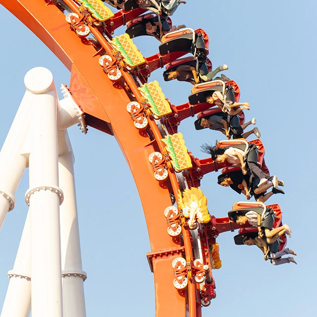 Suspended Coaster XGC-20G 1