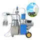 Milk Vacuum Machine by SIF Machinery 2