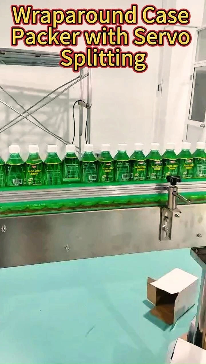 Wraparound Case Packer with Servo Splitting 1