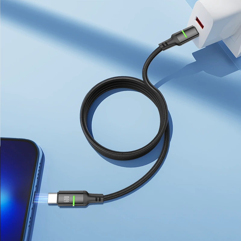 Câble AA02 60W TYPEC vers TYPEC 1