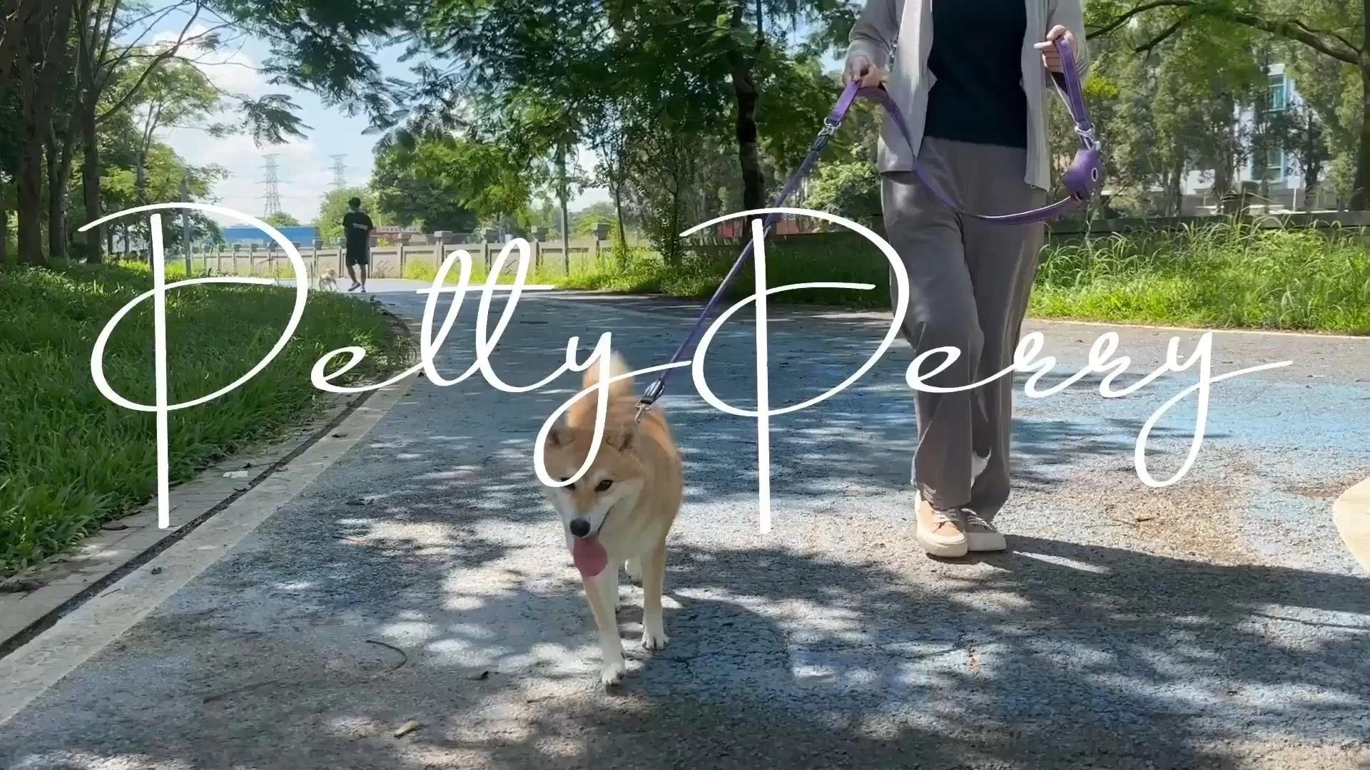 AirTag-Halterung für Hundehalsband für große und mittelgroße Hunde, verstellbares Nylon-Trainingshalsband mit Schnellverschluss 1