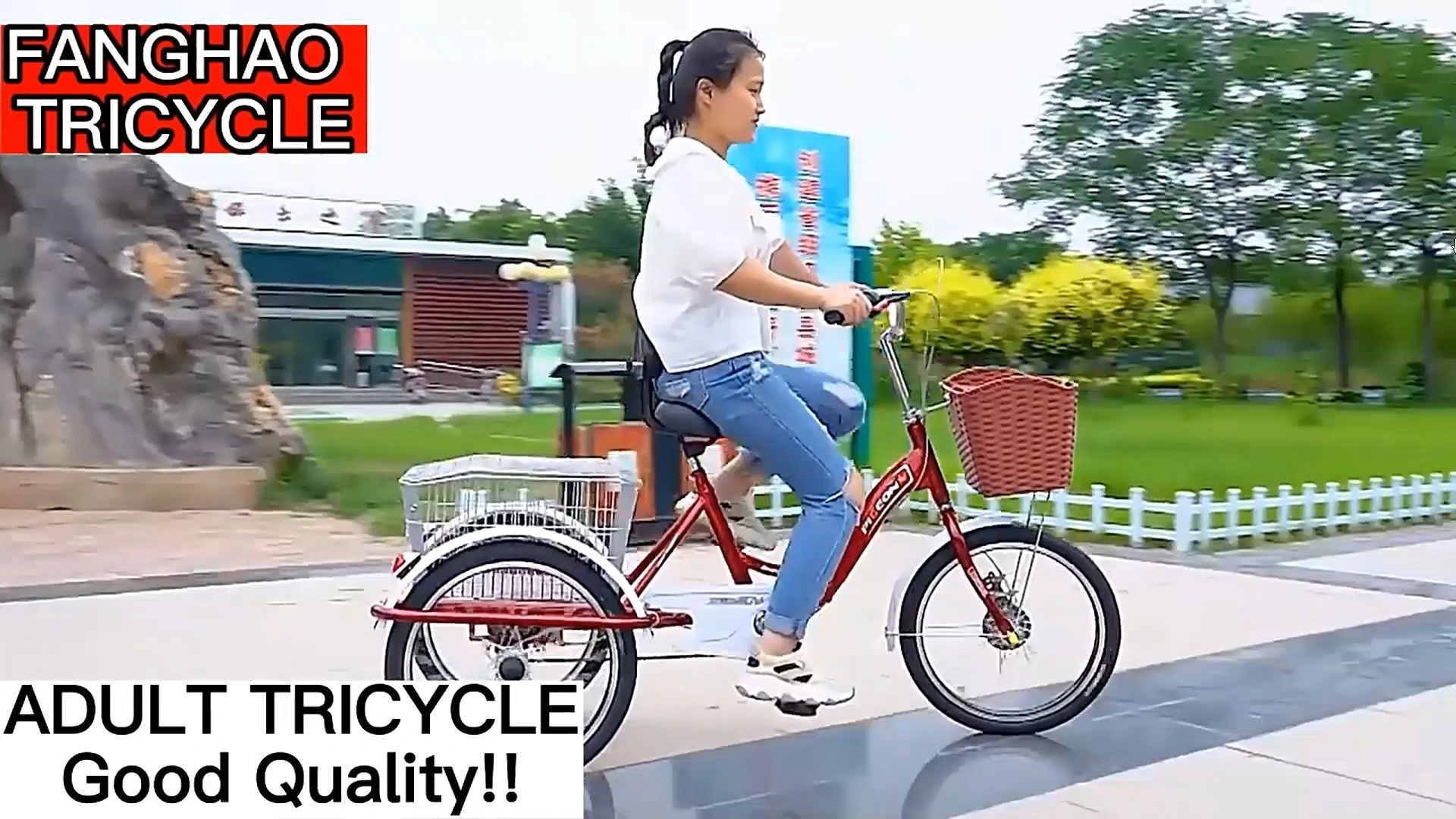 Tricycle à trois roues pour personnes âgées, vélo cargo pour adultes, tricycle électrique à trois roues, moto 1