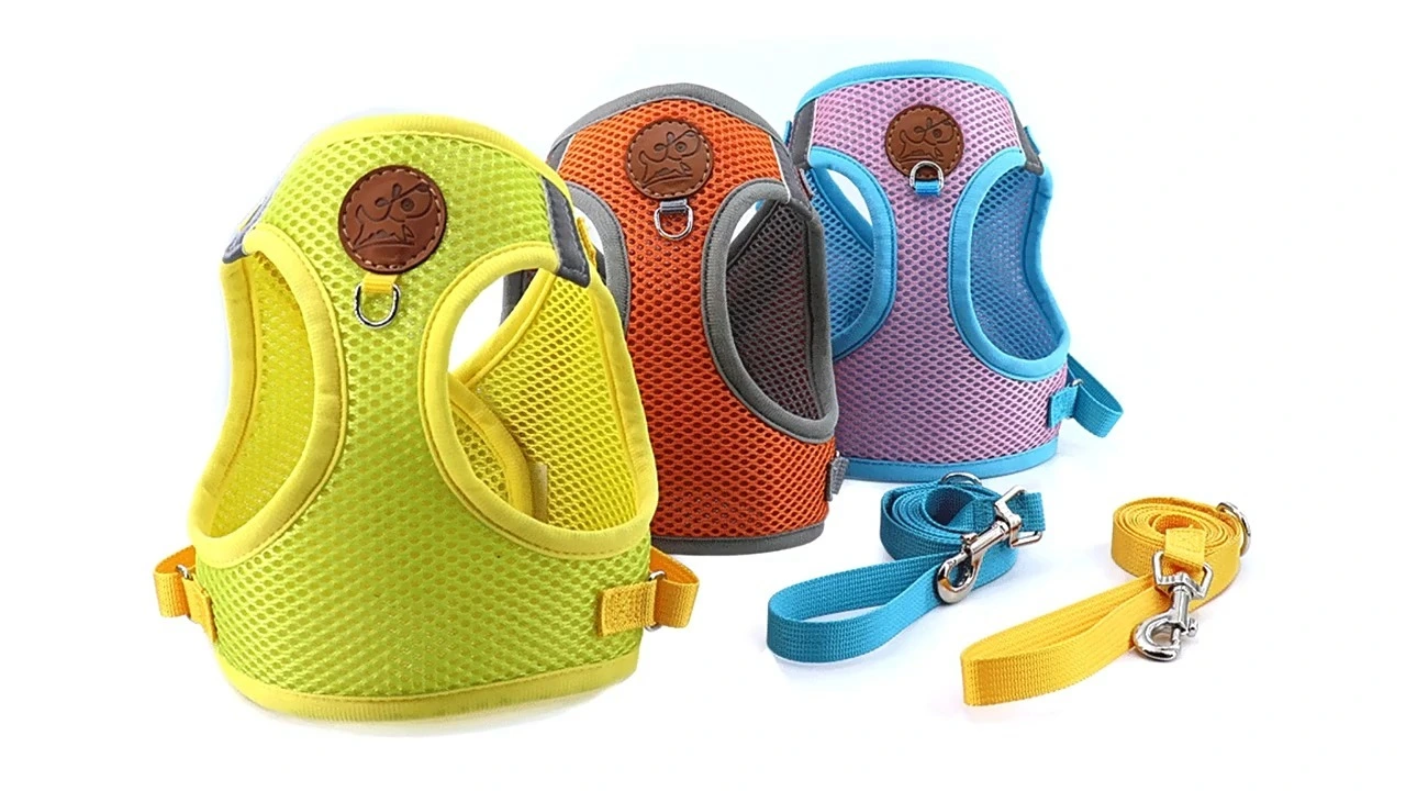 Small Dog Harness and Leash Set, Adjustable Step-in Dog Harness with Back Clip 1