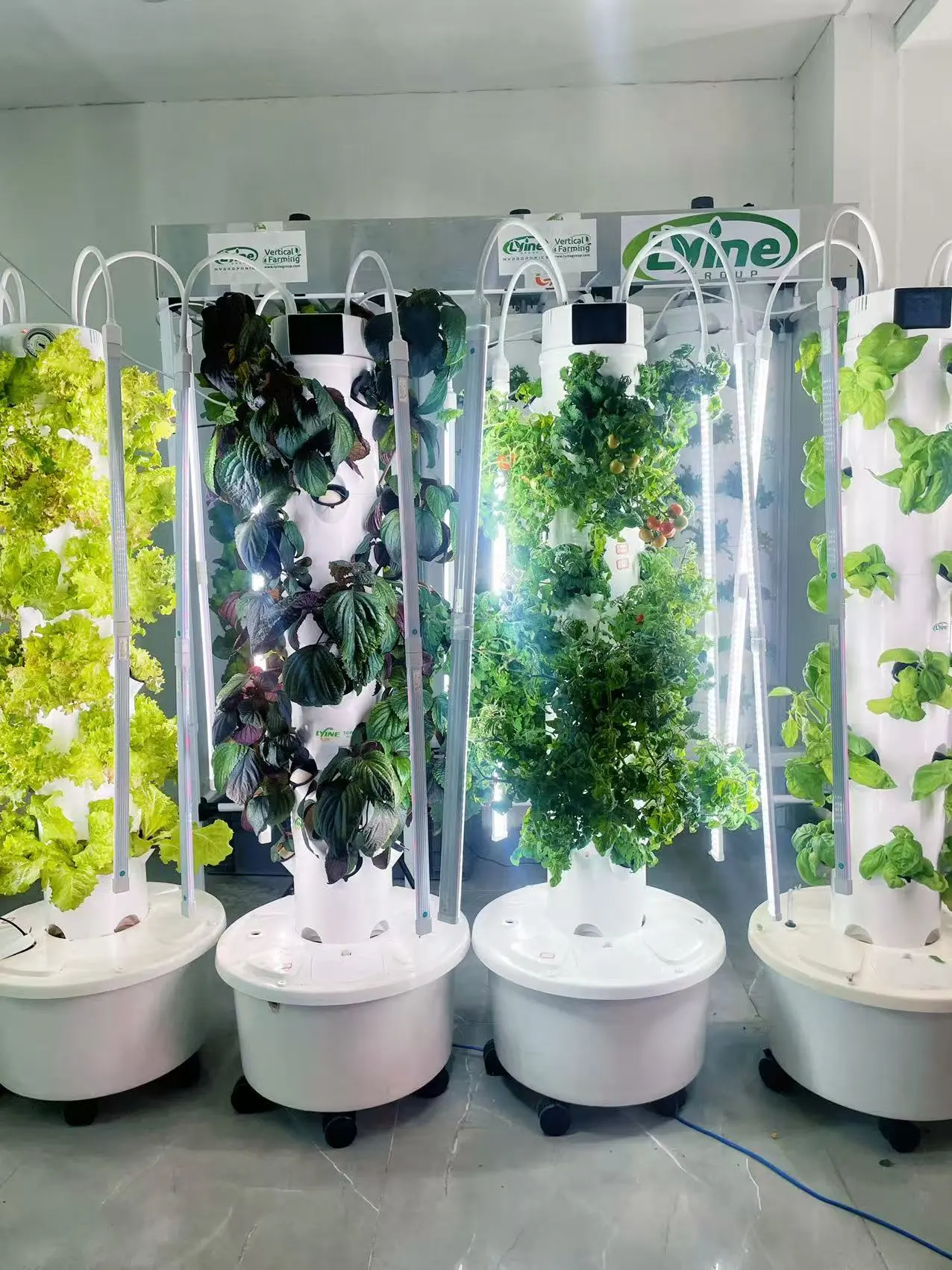 Scéalta den Scoth - frank | Smeach PDF Ar líne | FlipHTML5, image size:1276x1702