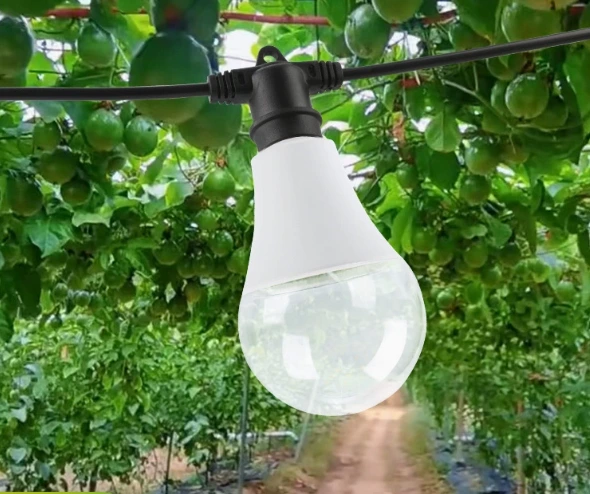 Full Spectrum Plant Grow Light A60 for Passion Fruit and Dragon Fruit Cultivation 1