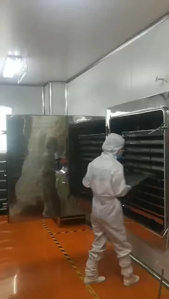 Vaccum Lyophilizer Vacuum Freeze Dryer Machinery for Pharmaceutical Industry Use Vial Bottle Freeze Drying 1