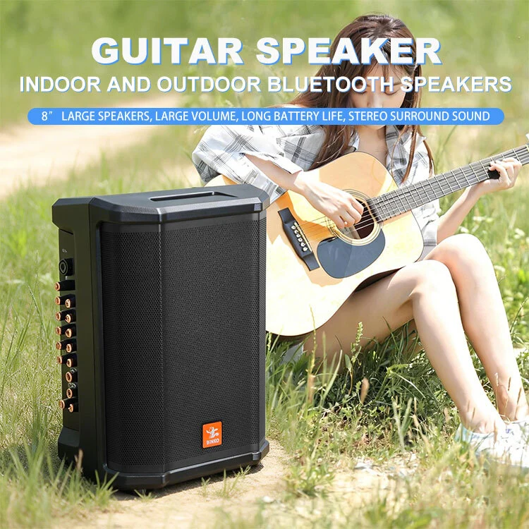 Professional 8 Waterproof  Guitar Amp | Outdoor Portable PA Speaker with USB/TF/AUX/Audio Input & Carry Handle 1