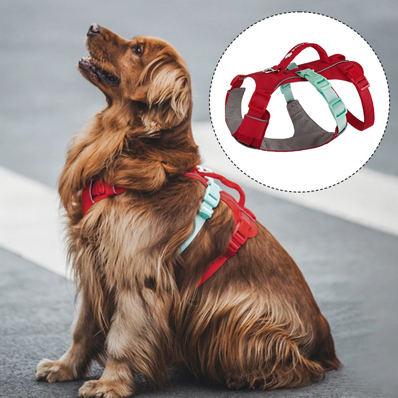 Zughemmendes, atmungsaktives und wasserdichtes Hundegeschirr – Griff am Rücken für schnelle Kontrolle, ergonomische Passform, 5-Punkt-Verstellung, schnelltrocknendes Polyester und 3D-Wabenfutter für kleine bis mittelgroße Hunde 1