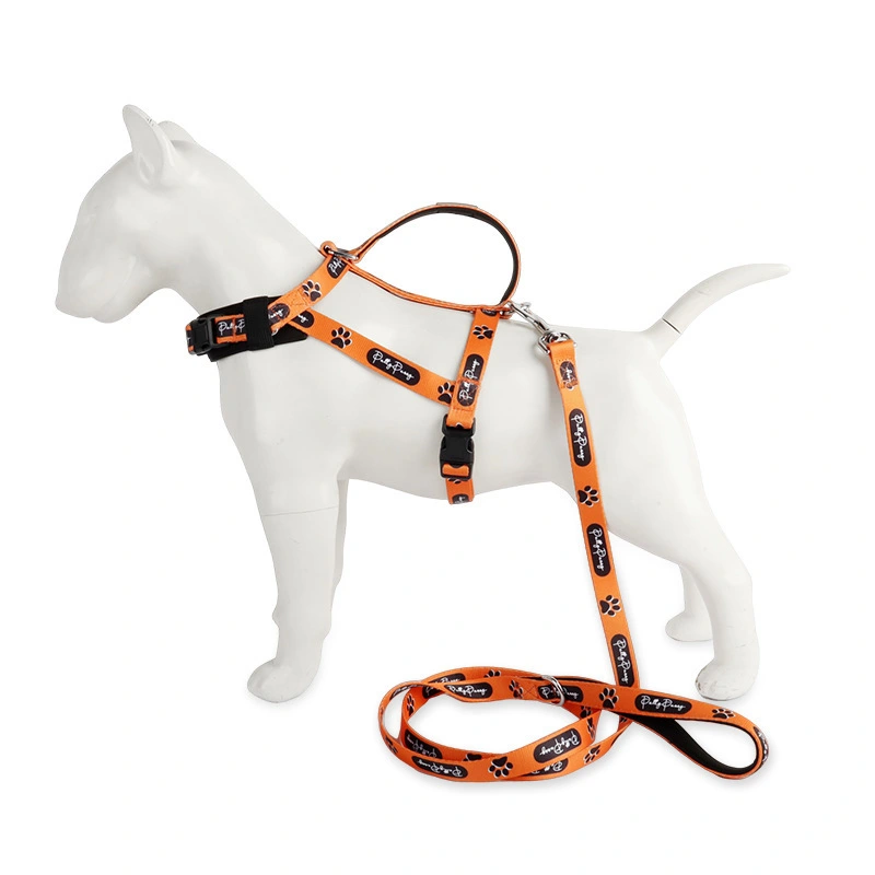 Arnés y correa para perros: poliéster suave, ajuste cómodo antitirones, asa acolchada, hebilla resistente y ajuste 3D para perros pequeños, medianos y grandes. 1