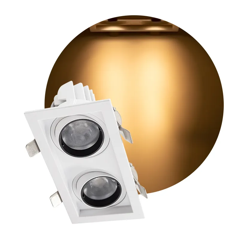 15W*2 30W*2 Large Wattage Die-casting Aluminum LED Ceiling Down Lights 3