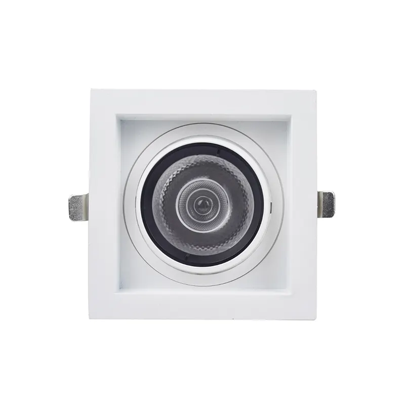 15W*2 30W*2 Large Wattage Die-casting Aluminum LED Ceiling Down Lights 2