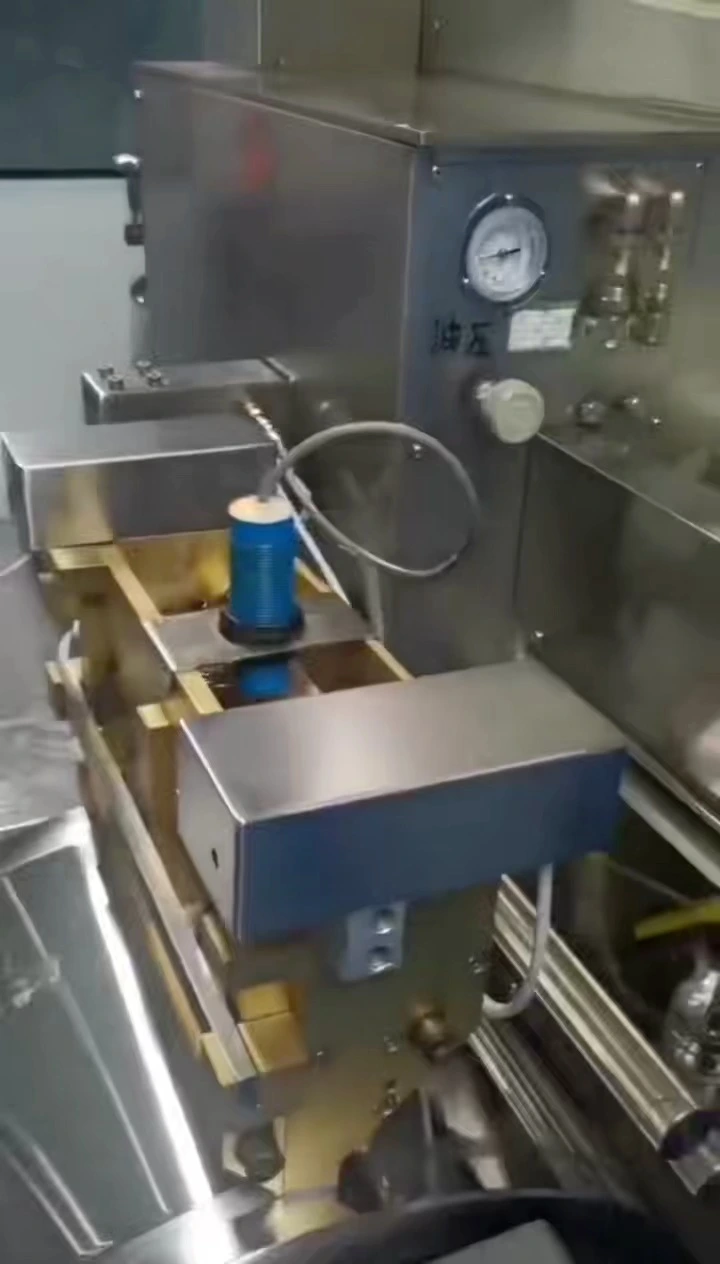 HSR-250 Fully Automatic Softgel Encapsulation Production Line 1