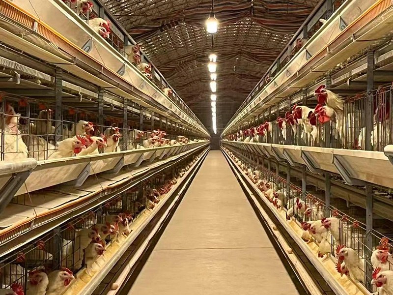 Bombilla LED de seguridad de 48 V con una transmitancia de luz superior al 92 % 1