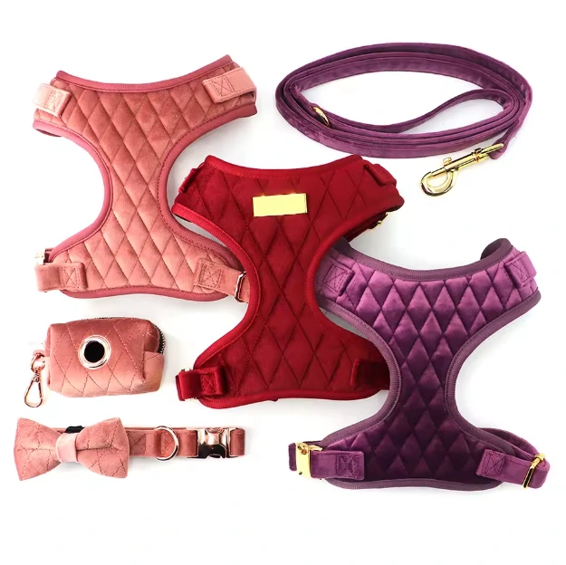 2026 Exclusive Custom Velvet Dog Vest & Collar Set - Personalized with Logo/Pattern, Red Plush Velvet with Rose Gold Buckles, Adjustable for Small Medium Dogs 1