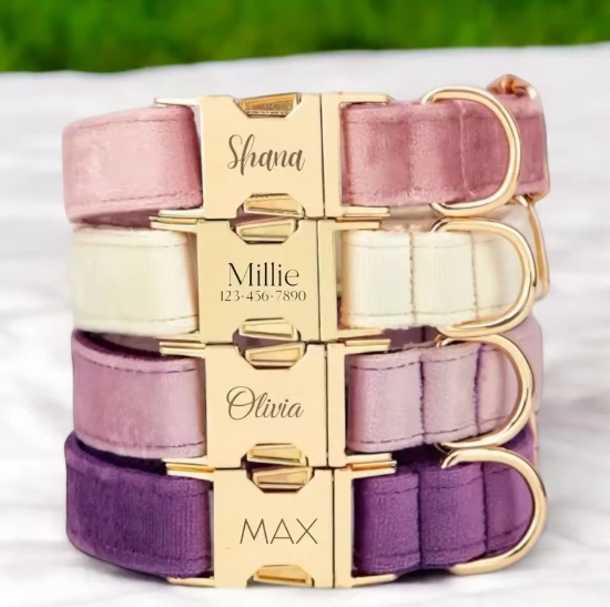 Custom Velvet Dog Collar with Laser Logo - Personalized Engraved Collar for Pets, Gold Plated Quick Release Buckle, Adjustable Soft Plush Collar for Small Medium Large Dogs 1