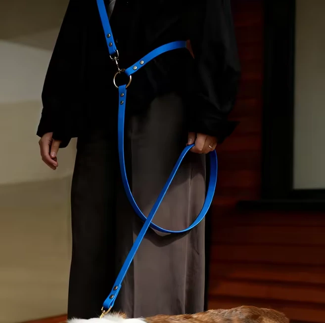 Maßgefertigte Luxus-Hundeleine aus PVC mit Beschlägen aus Zinklegierung – wasserdichte, freihändige Multifunktionsleine, strapazierfähige Komfortgriffleine für Training, Spaziergänge und Joggen 1