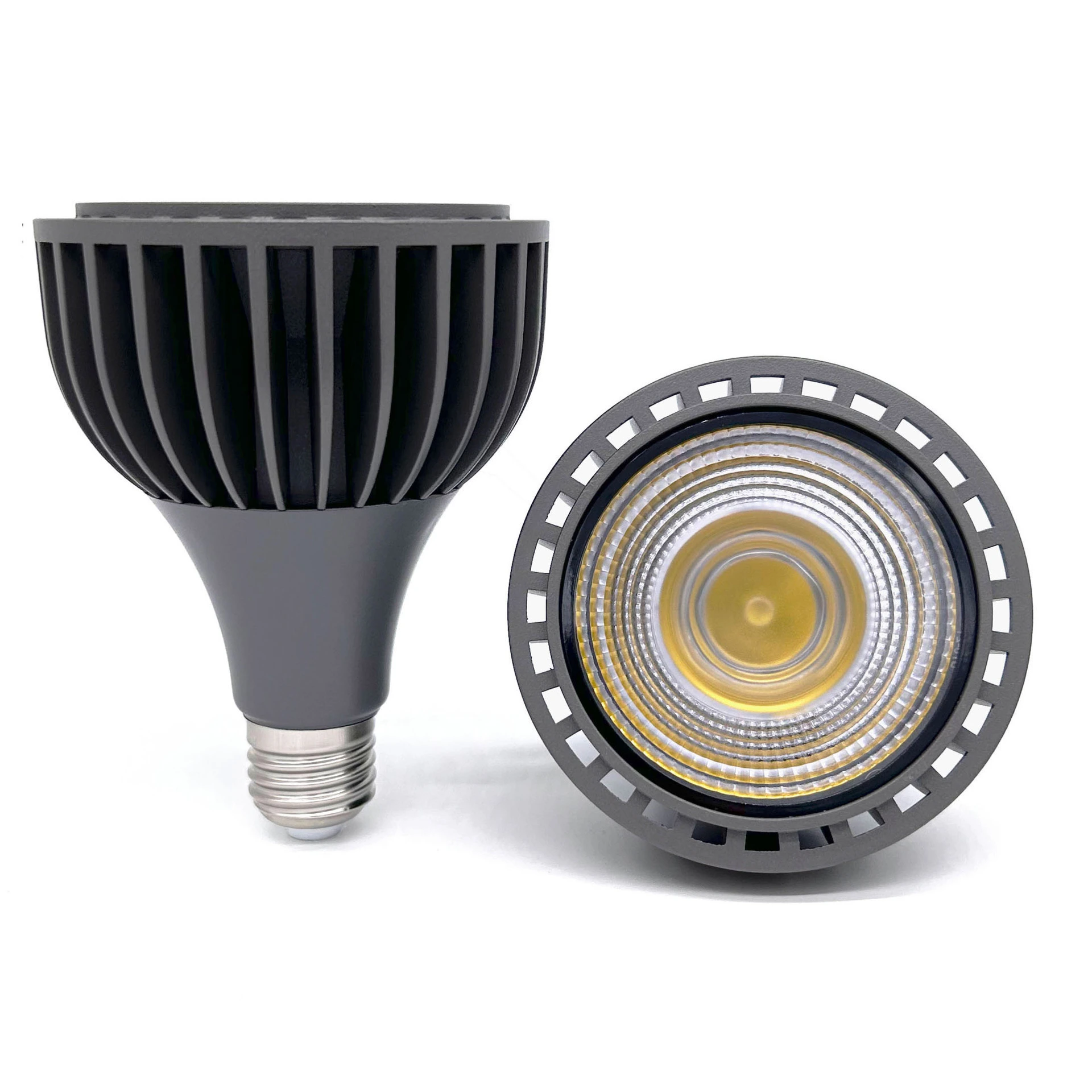 10W AC85-265V 3000K/4000K/5800K Bridgelux Chip LED PAR20 Spotlight 1