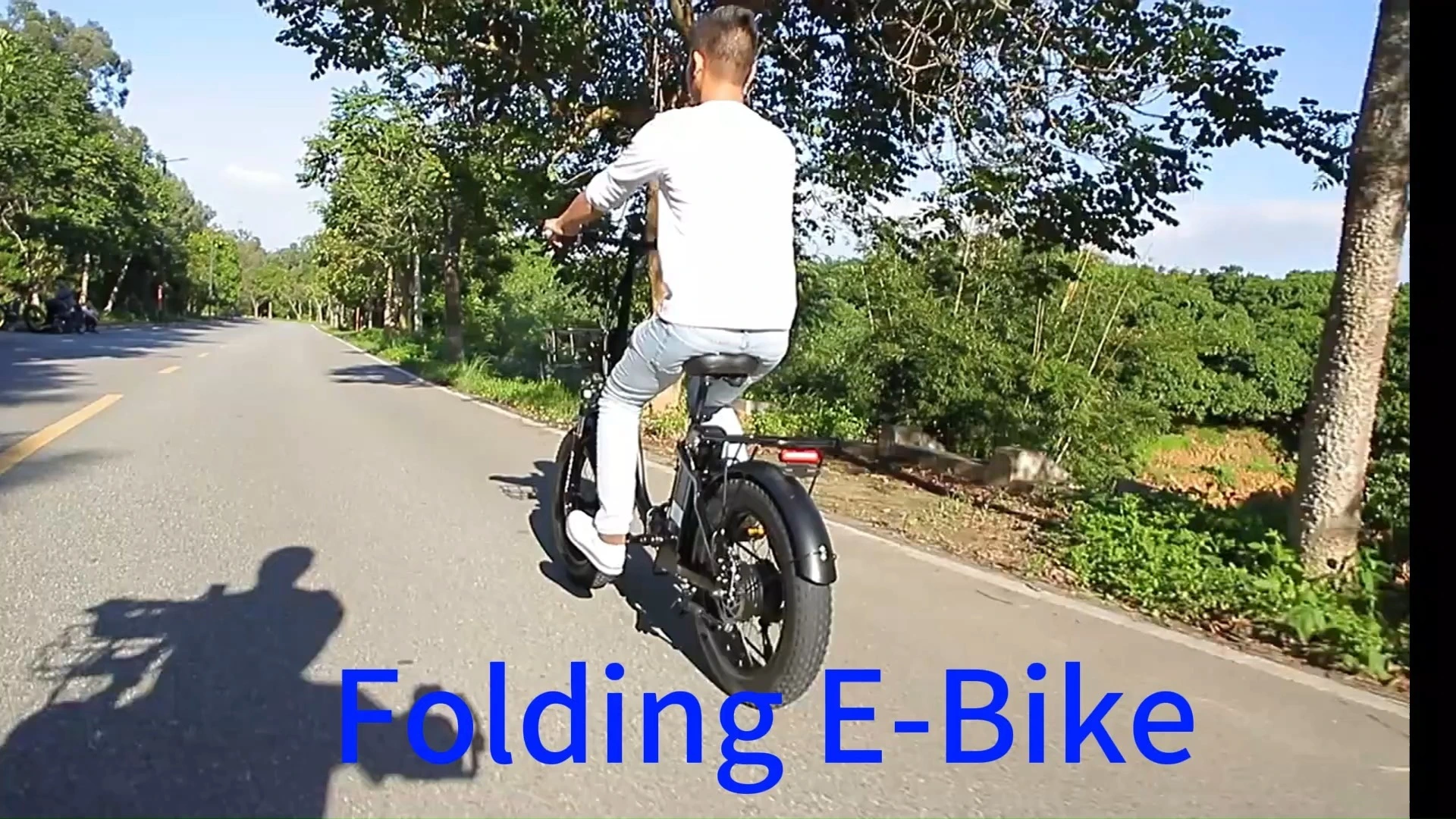 DomeRide 20*4 Electric Folding E-Bike 48V 23Ah Removable Battery Dual Motor Brushless Hub Motor Fat Tire Adult E-Mountain Bicycle 1