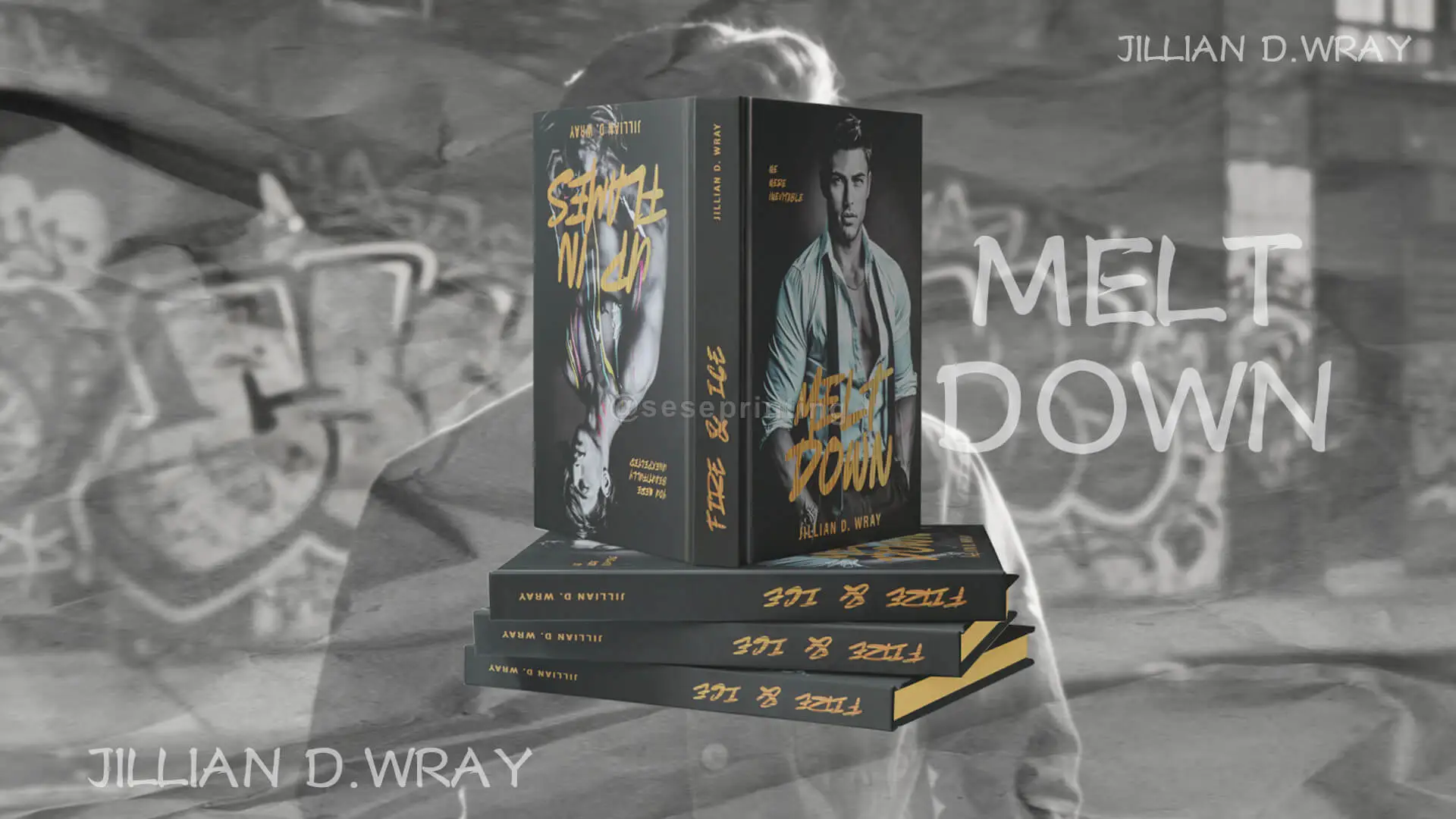 Livres en édition spéciale reliée, couverture imprimée avec dorure à chaud et tranches peintes sur mesure. 1