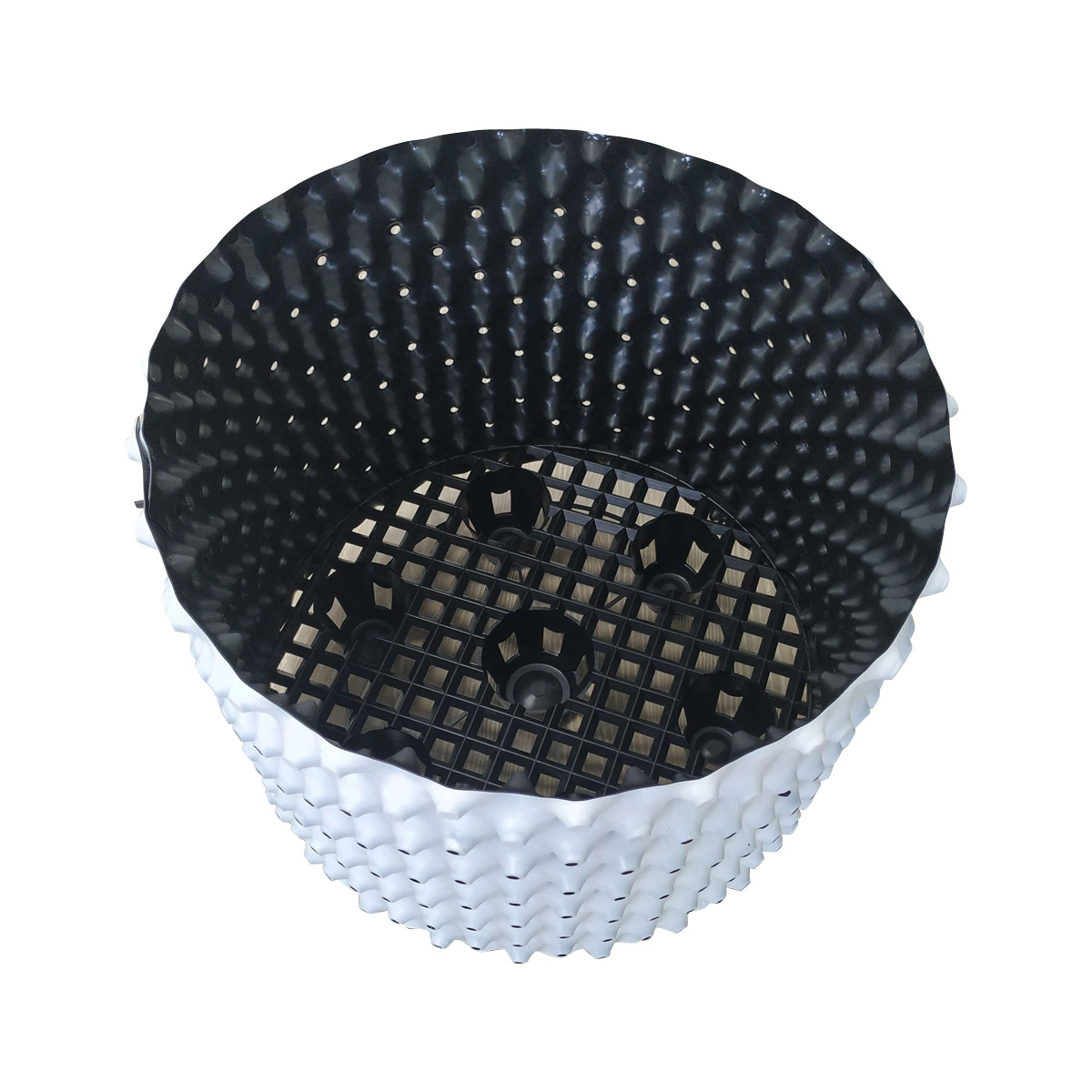 HDPE Bicolor Blueberry Air Root Pot 1