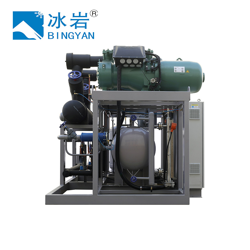 Screw Refrigeration Compressor Unit 2