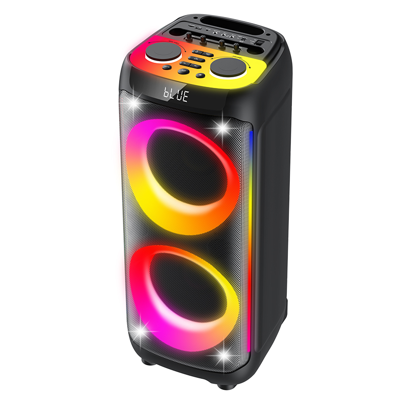 60W ポータブル カラオケ Bluetooth スピーカー (デュアル 6.5 インチ