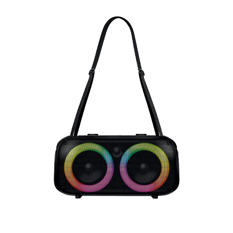 50W Party Speaker with Dual 6.5 Woofers | Deluxe AV AP-G217 1